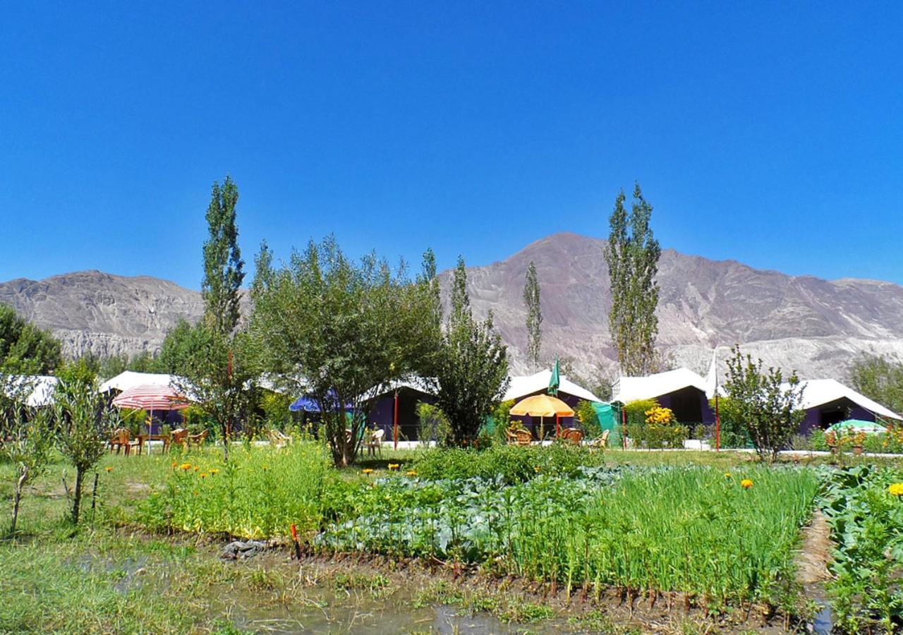 Hotel Tiger Camp Nubra Exterior foto