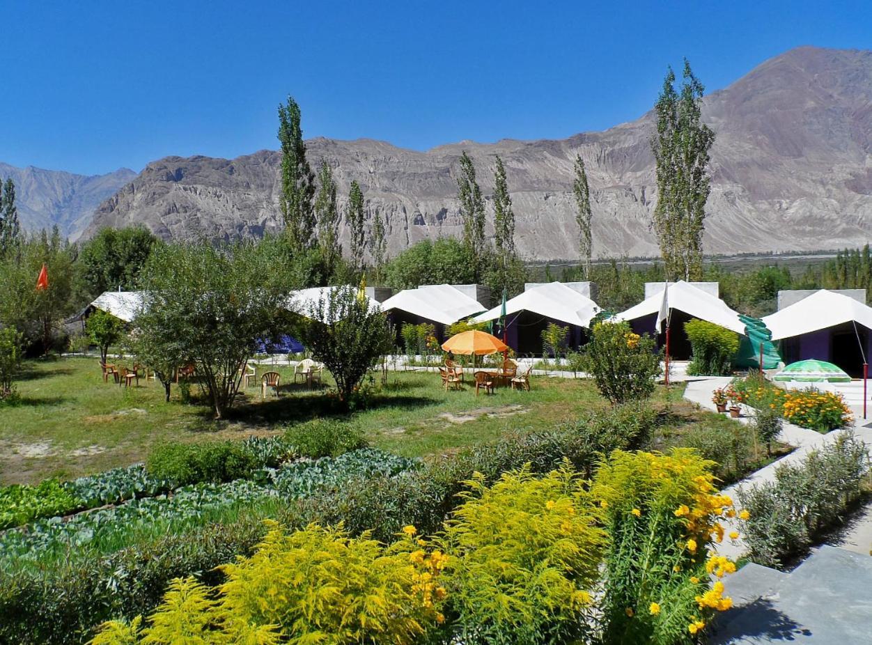 Hotel Tiger Camp Nubra Exterior foto