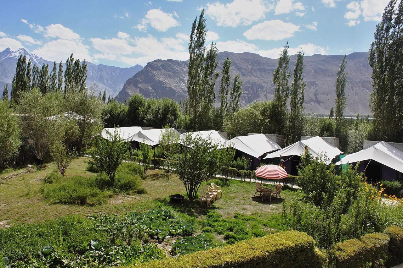 Hotel Tiger Camp Nubra Exterior foto